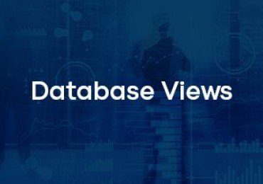 OMNITRACKER Database Views 150