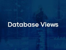 OMNITRACKER Database Views 150